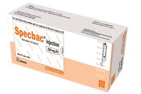 product name